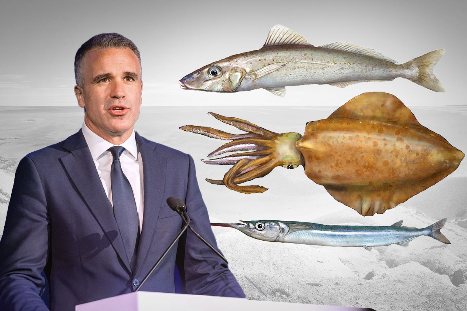 Premier Peter Malinauskas says SA fish species are facing "an unprecedented impact". Those listed as being in severe decline in Gulf St Vincent/Kangaroo Island include King George whiting, calamari and garfish.