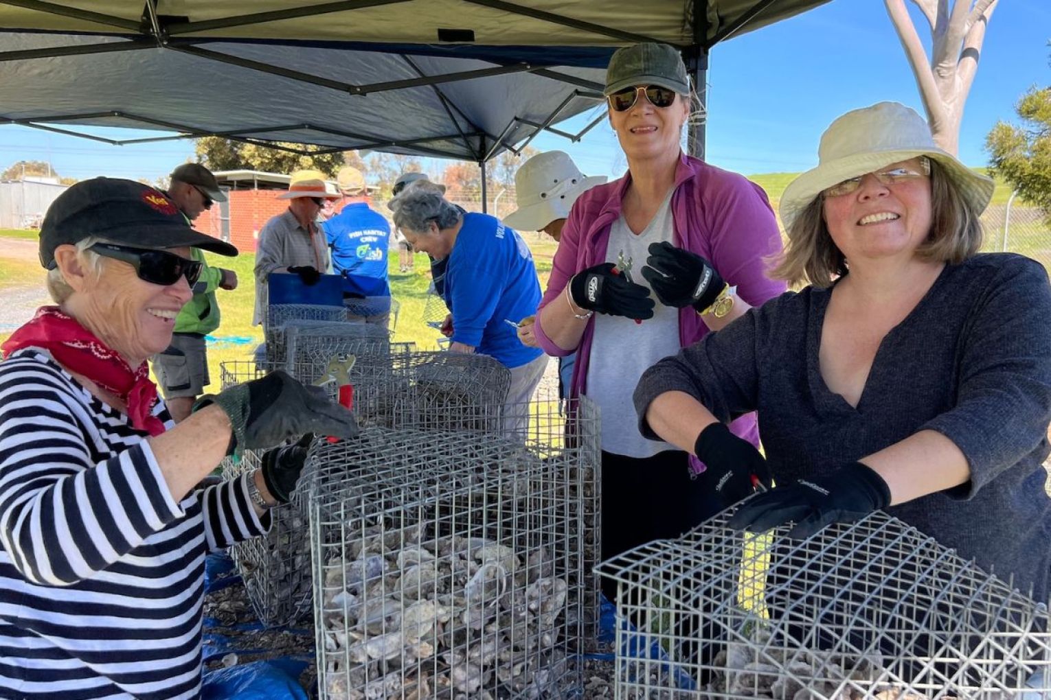 Volunteers building new shellfish reefs. Photo: OzFish