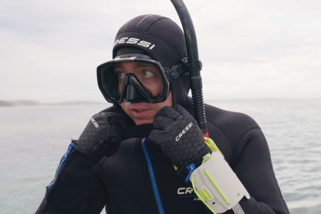 Vital SA oyster reef restoration wins national accolade amid algal bloom