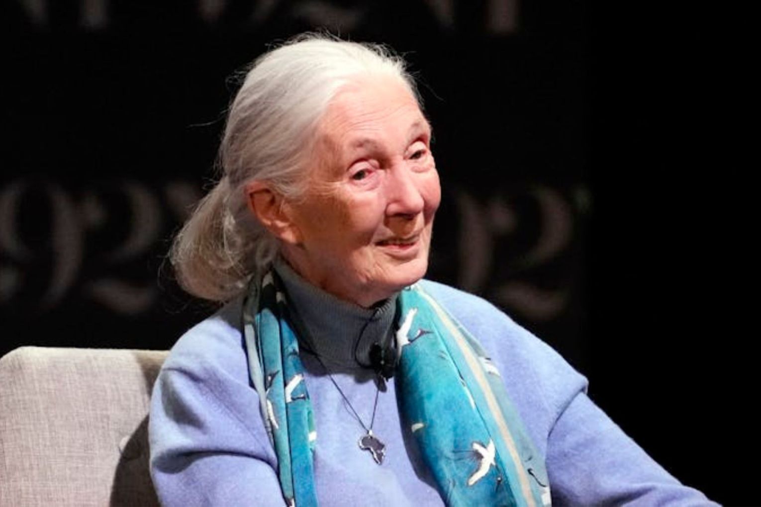 Jane Goodall appears on stage at 92NY in New York in 2023. Picture: Charles Sykes/Invision/AP