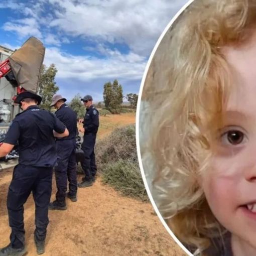 Thumbnail for Fresh development in search for little Gus