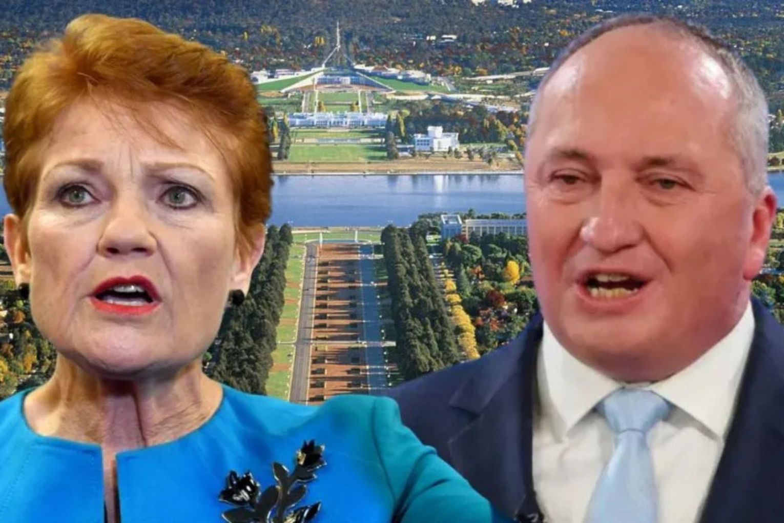 Barnaby Joyce has officially joined Pauline Hanson's One Nation.
