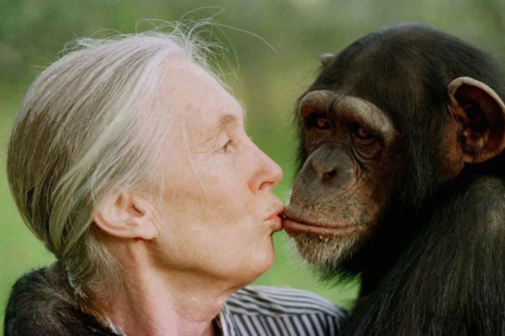 Jane Goodall, 91, dies while on speaking tour