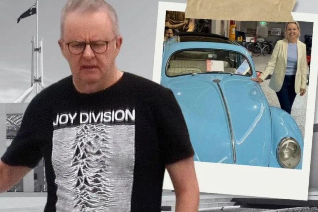 No Joy, only Division: It’s just the stupidest stupid we’ve yet seen