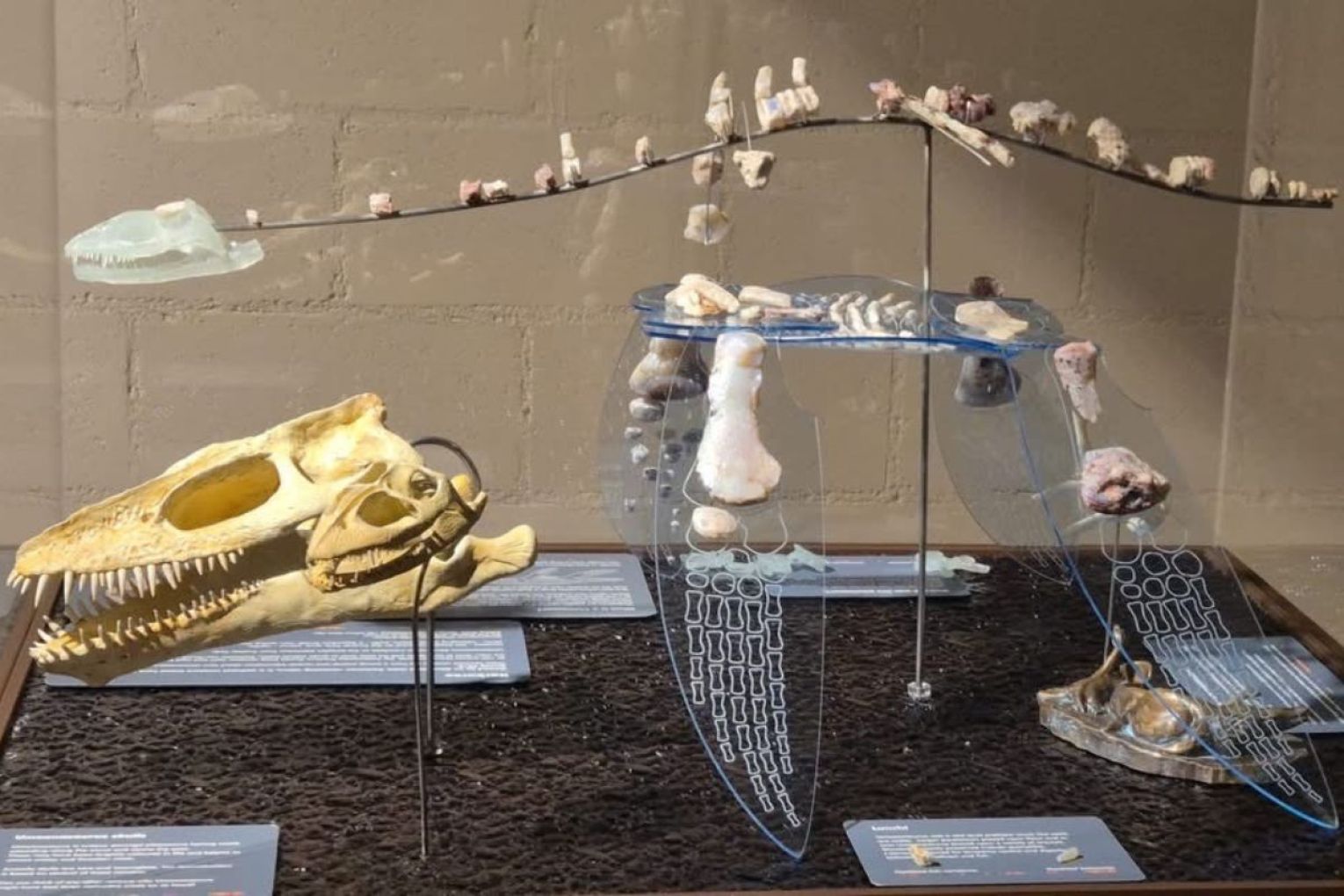 Karkaroo on display at Andamooka Underground Art Gallery. Photo: Andamooka Observatory Facebook