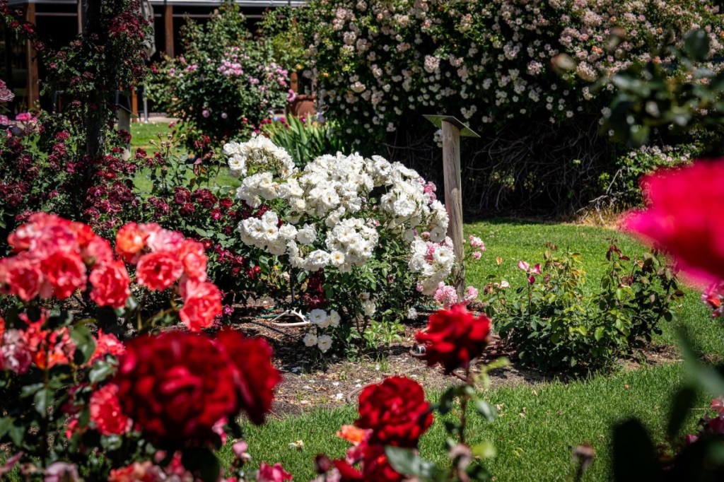 What to do in SA this weekend