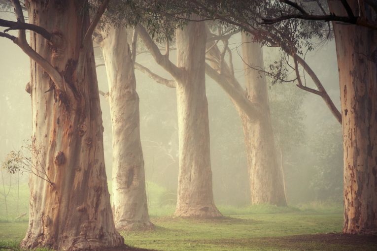 Thumbnail for A lesson in landscape photography