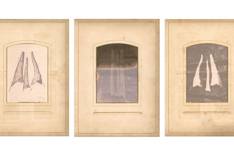 Thumbnail for Local Guide: Grant x Wilkes exhibition