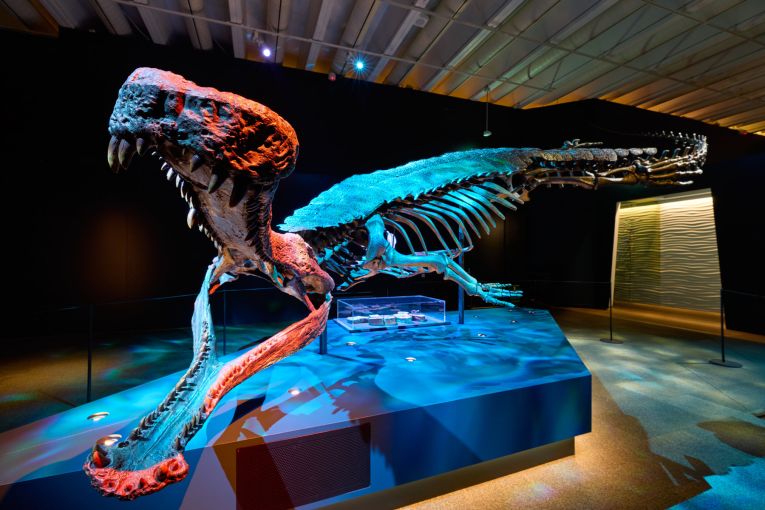 Queensland Museum: Croc! Lost Giants to Living Legends