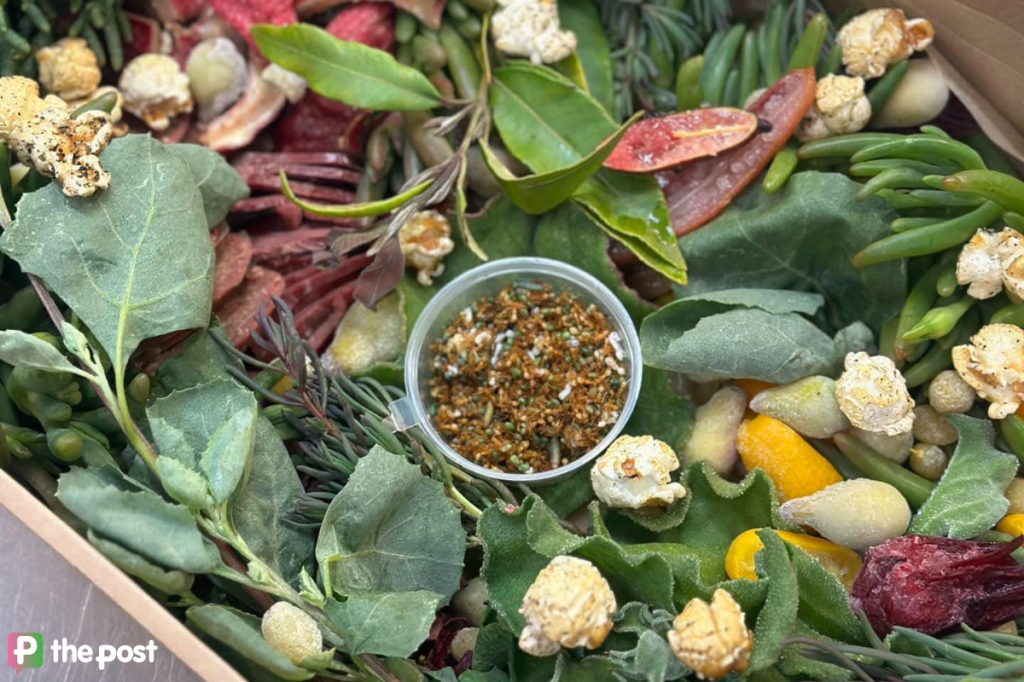 5 delicious ways to try First Nations food and drink in Adelaide