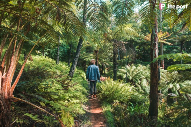 Thumbnail for Beyond Lofty: 13 Adelaide walks to clear your mind