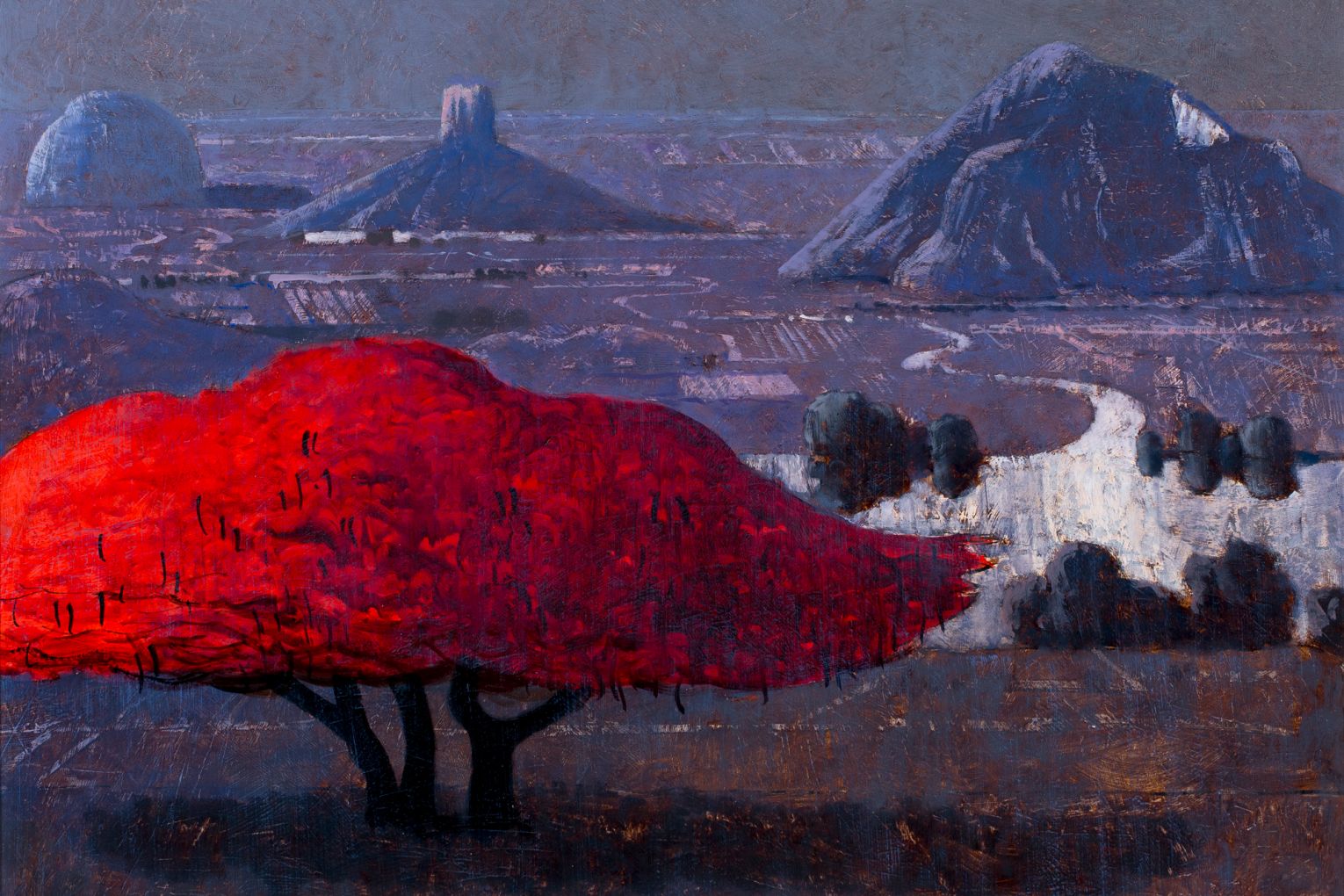 Glasshouse Mountains with Poinciana by Lawrence Daws (2012) is typical of the artist's oeuvre. 