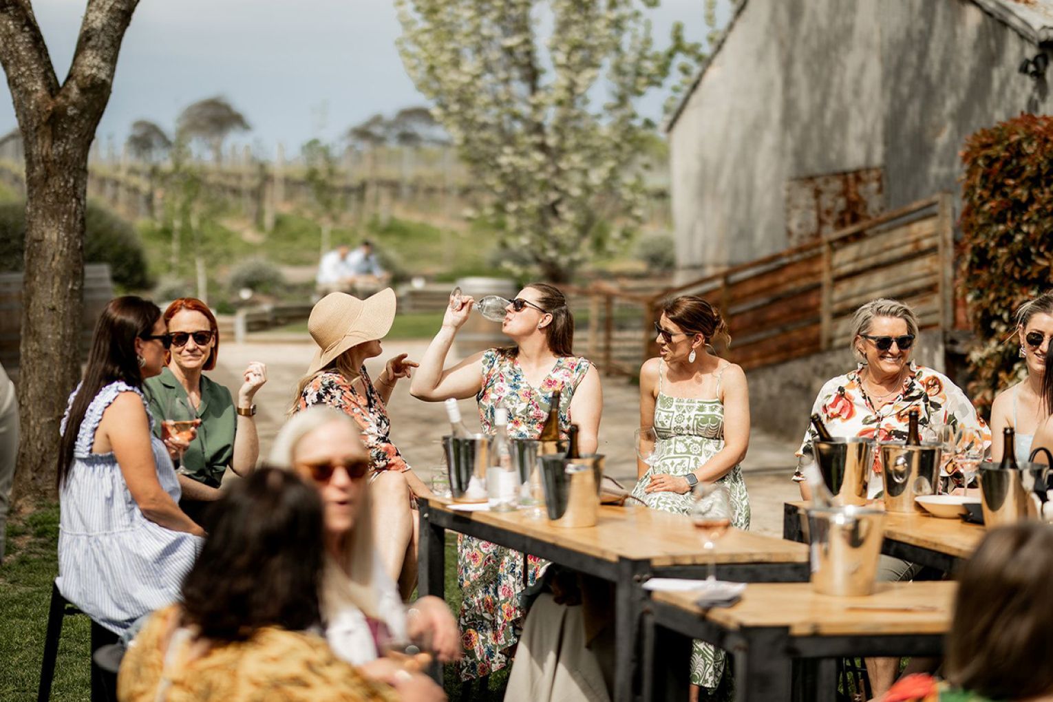 Sunday Sessions at Howard Vineyard.