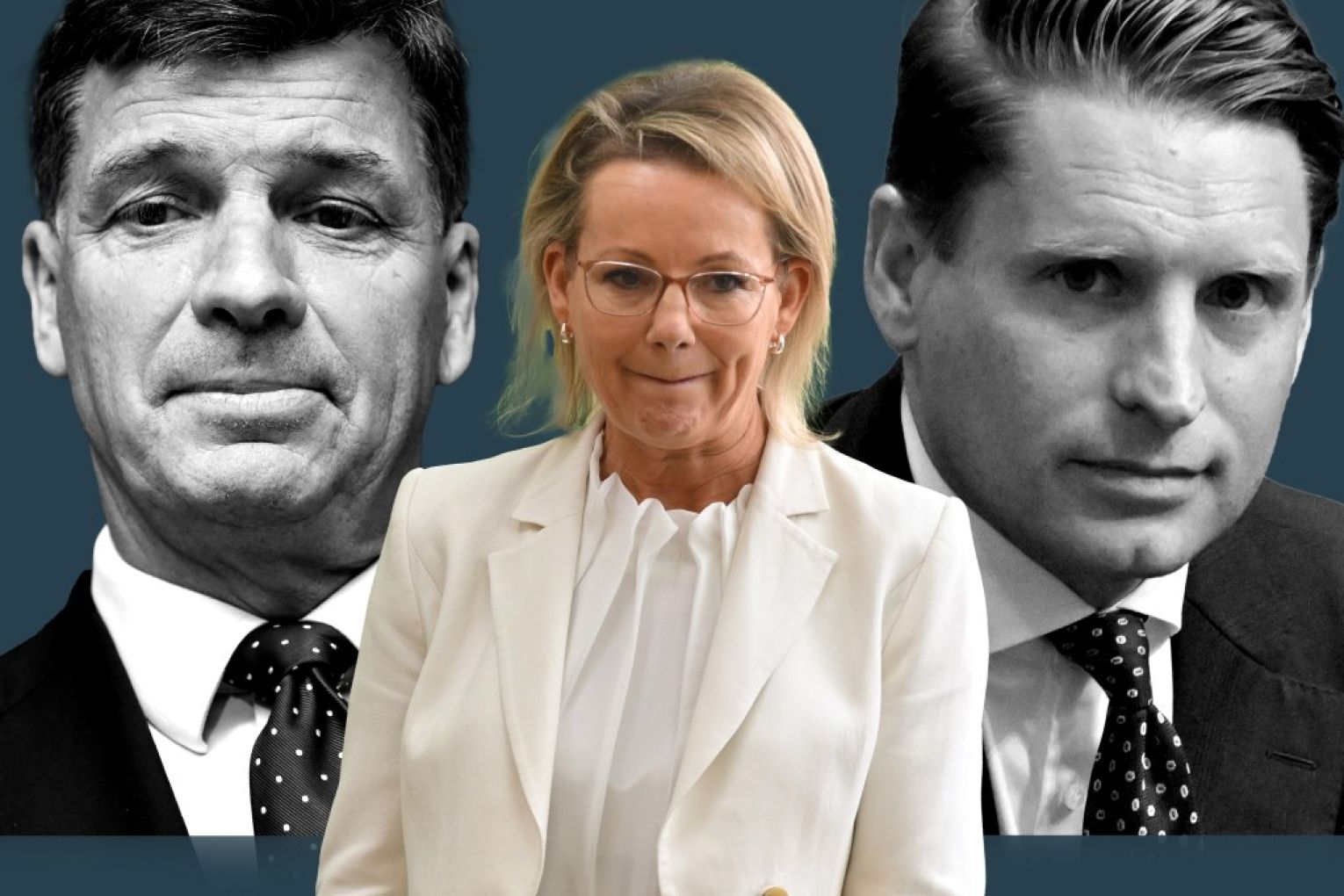 Sussan Ley's Liberal party has locked in a new climate policy.