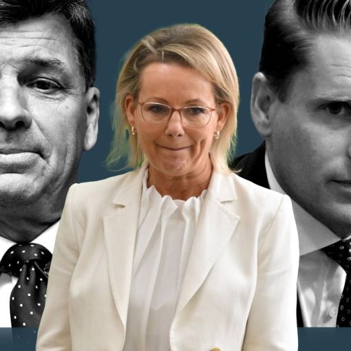 Thumbnail for BREAKING: Liberals dump net zero