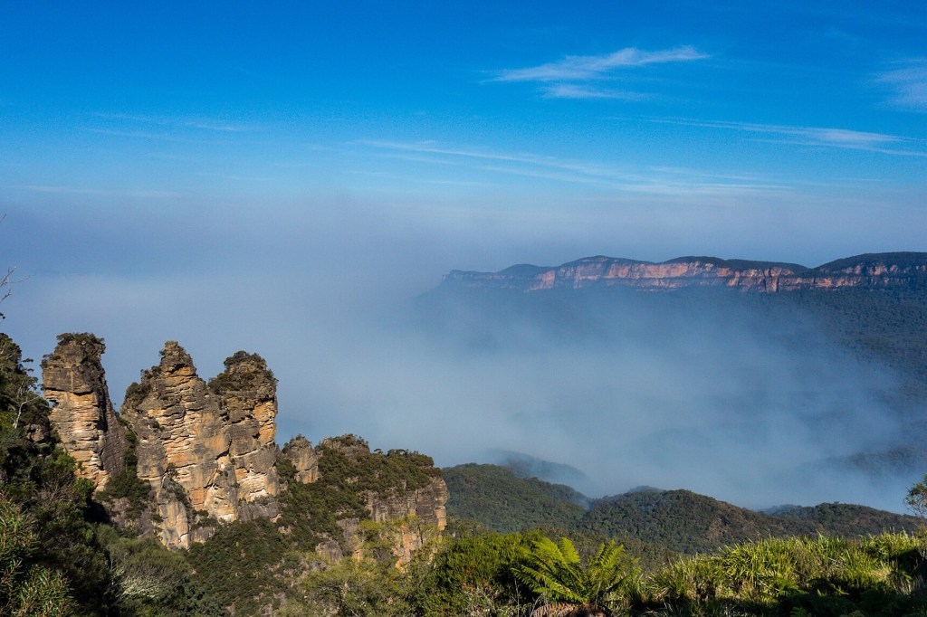 Poem: Mountain Music Festival