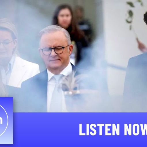 Thumbnail for What does Anthony Albanese stand for?