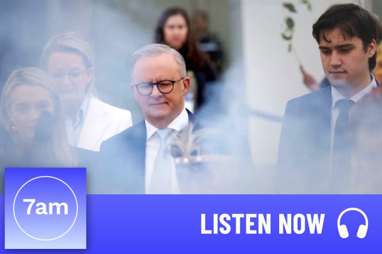 Thumbnail for What does Anthony Albanese stand for?