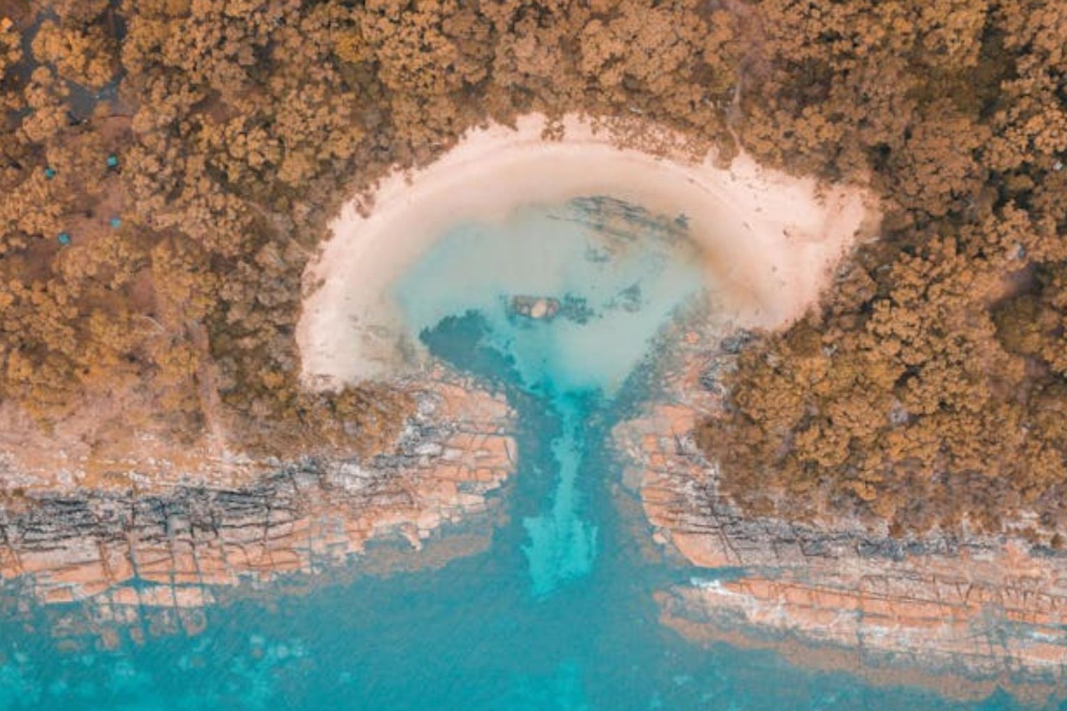 Labor has finally struck a deal with the Greens to pass long-awaited changes to the federal Environment Protection and Biodiversity Conservation Act. Picture: Brayden Stanford/Pexels