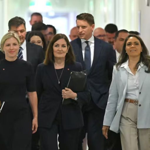 Thumbnail for Former Liberal senator accuses ‘the boys’ of using women to undermine Sussan Ley