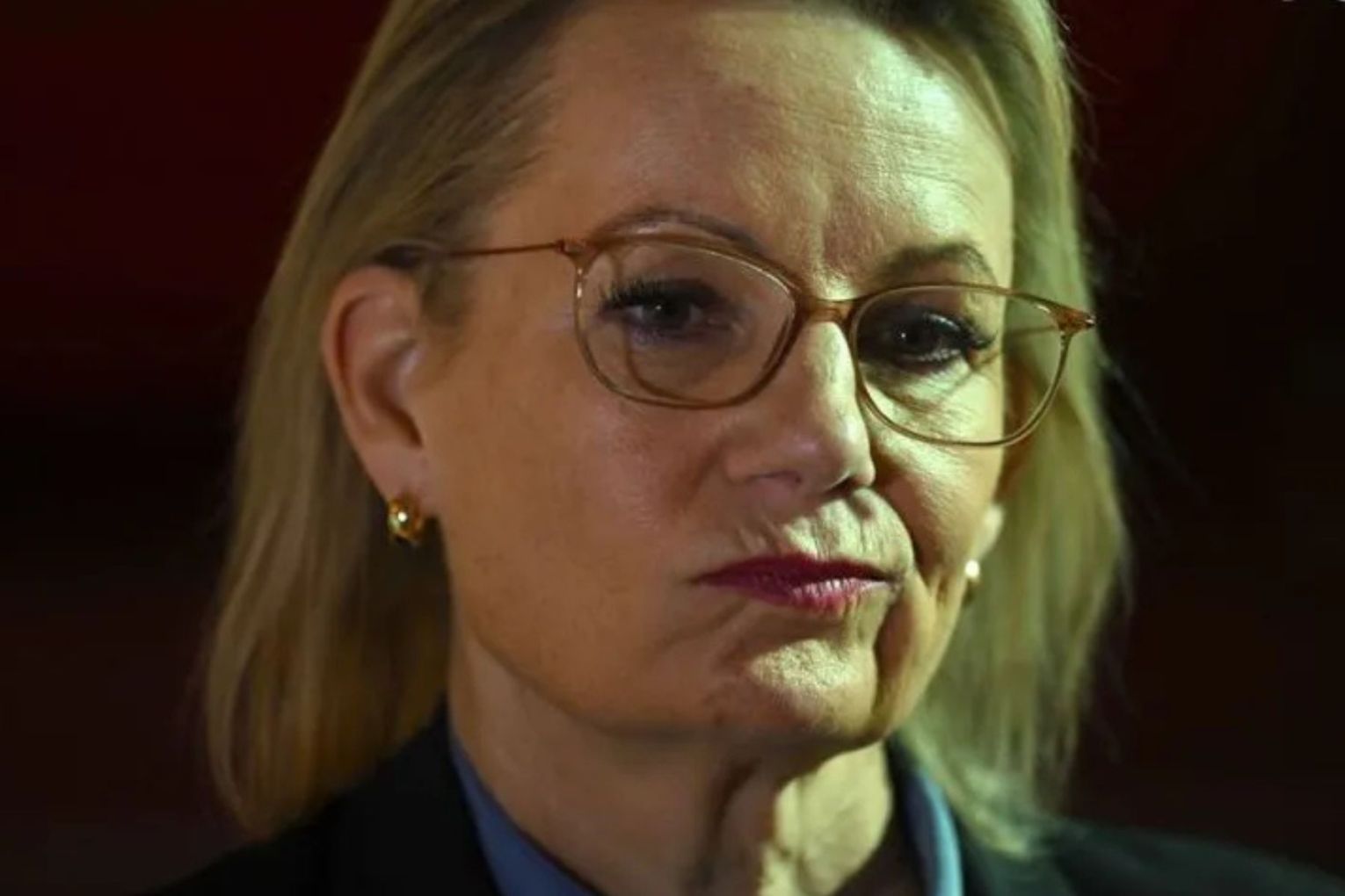 Sussan Ley says she doesn't feel threatened as opposition leader, amid the energy target dispute.