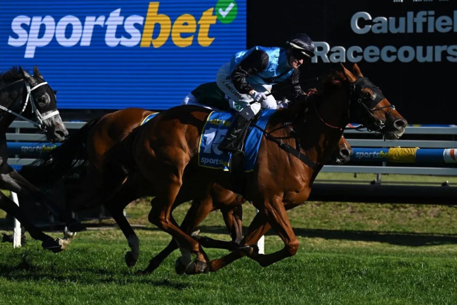 The Half Yours has taken out the Caulfield-Melbourne Cups double.