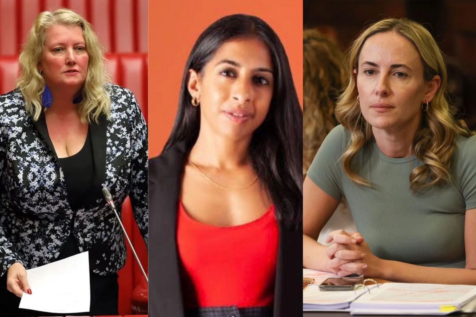 MLC Tammy Franks (left) raised Joanna Howe's (centre) Meta spending in parliament during a debate over Sarah Game (right)'s anti-abortion bill. Left and right photos: Tony Lewis/InDaily. Centre photo: via Facebook.