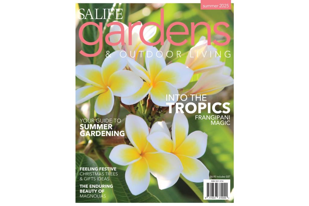 Subscribe for updates