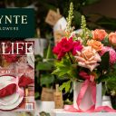 Thumbnail for Celebrate Christmas with a gift from SALIFE and Tynte Flowers