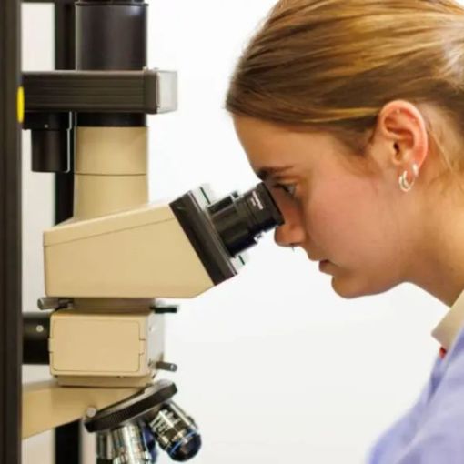 Thumbnail for Hundreds of science jobs axed in CSIRO overhaul