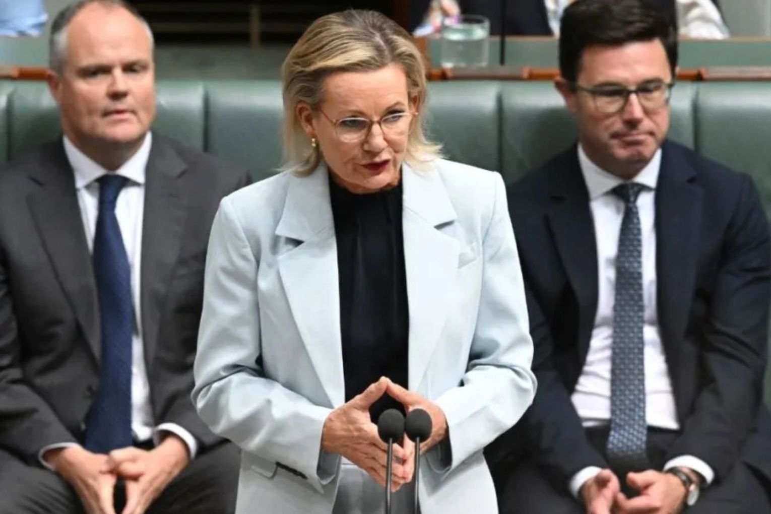 Sussan Ley's Liberals are divided on whether to follow the Nationals on emissions targets.