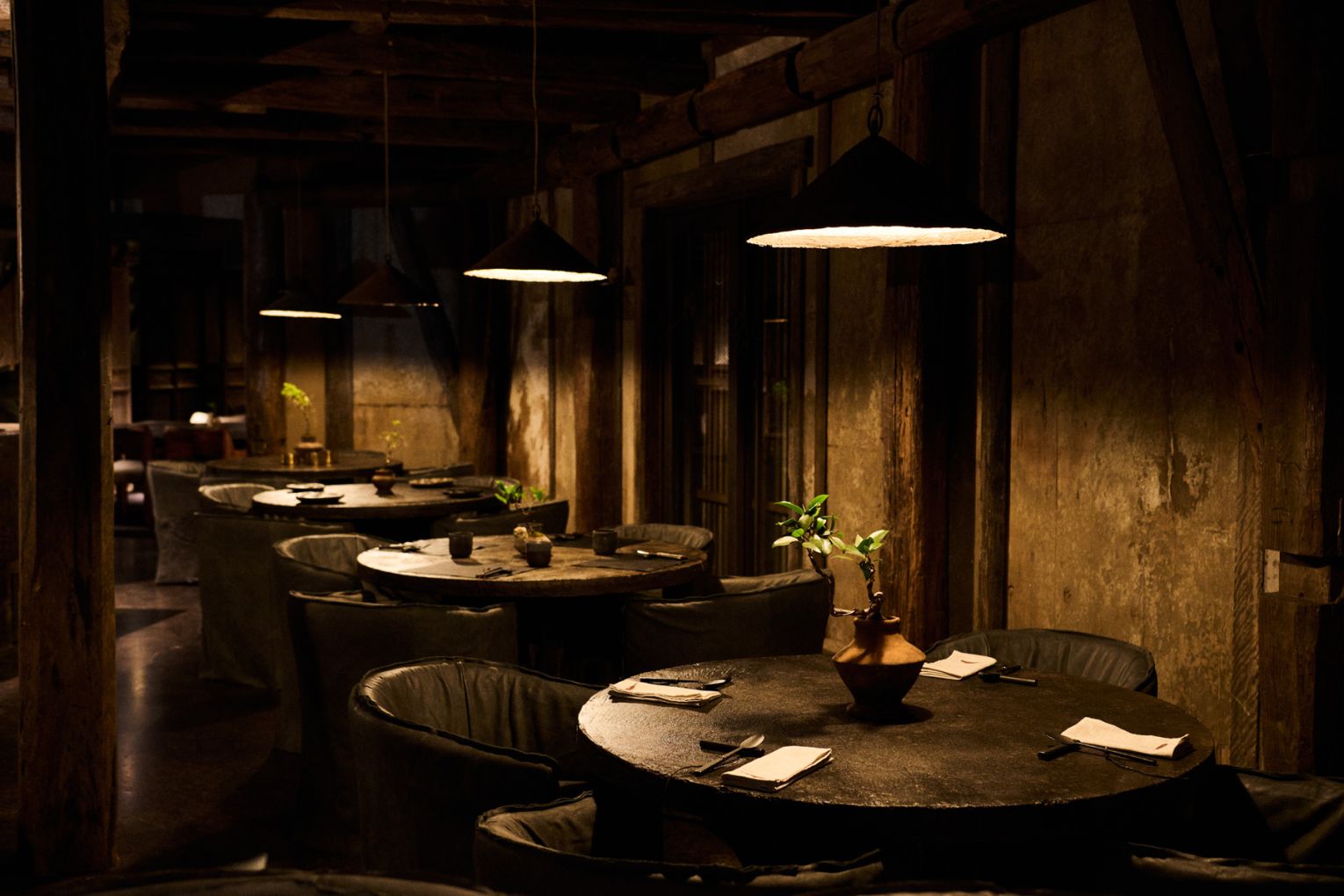 Feu at The Belongil, image credit: supplied