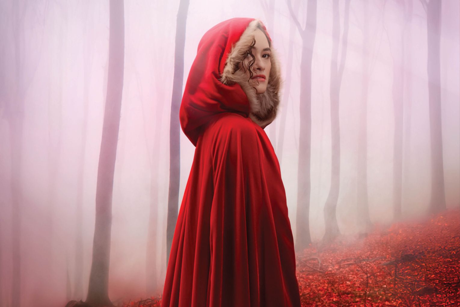 Opera Queensland will team up with Queensland Theatre and Queensland Symphony Orchestra for Into the Woods. Credit: Glenn Hunt