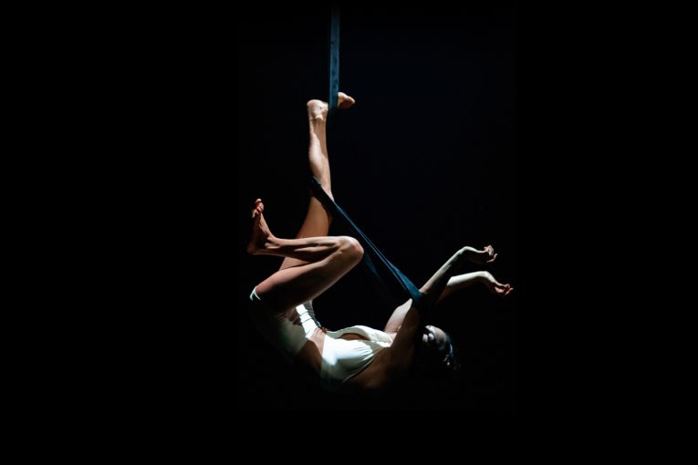 Thumbnail for Southern Cross Soloists’ 2026 season journeys from serene soundscapes to circus wonder and the age of dinosaurs