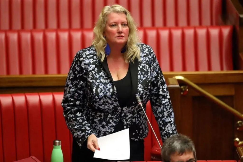 Motion calls on state government to review weapons exports to Israel