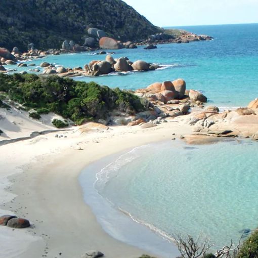 Thumbnail for Let’s turn this place into Australia’s 'pilot state'