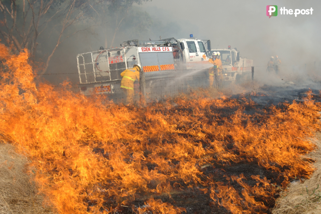 Quiz: How bushfire-safe are your summer plans?