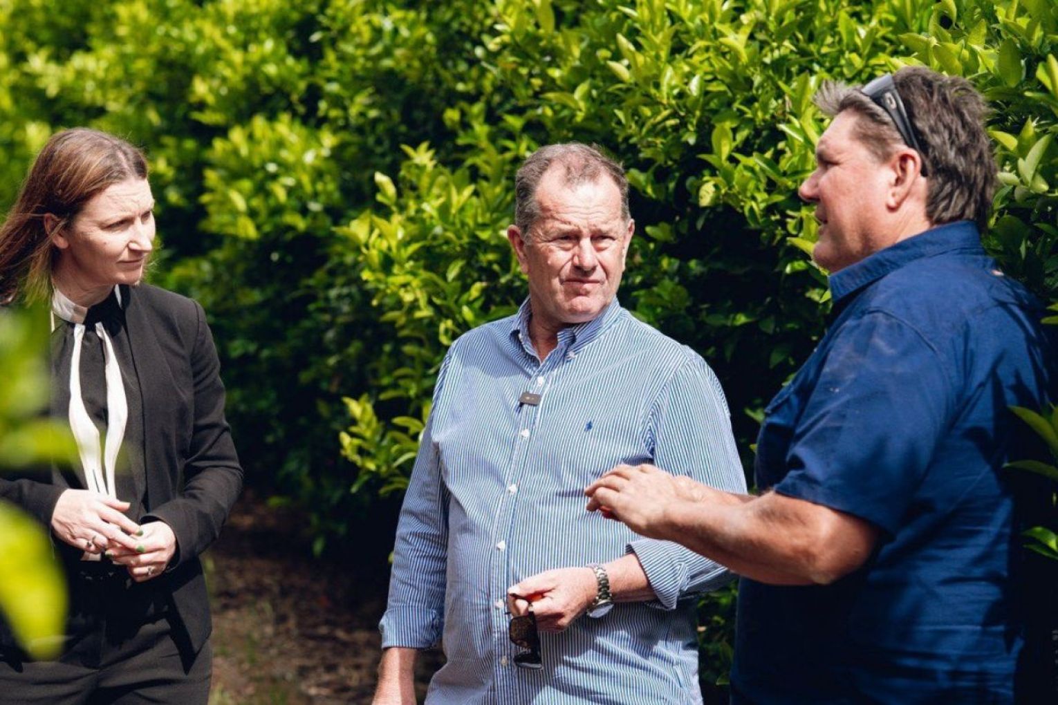 Tim Whetstone has called on the state government to support wine grape growers in the Riverland. Photo: Tim Whetstone Facebook.