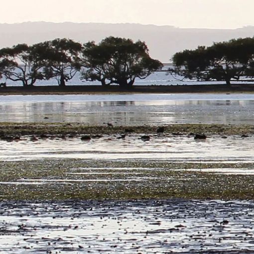 Thumbnail for Deal struck for contentious environmental laws