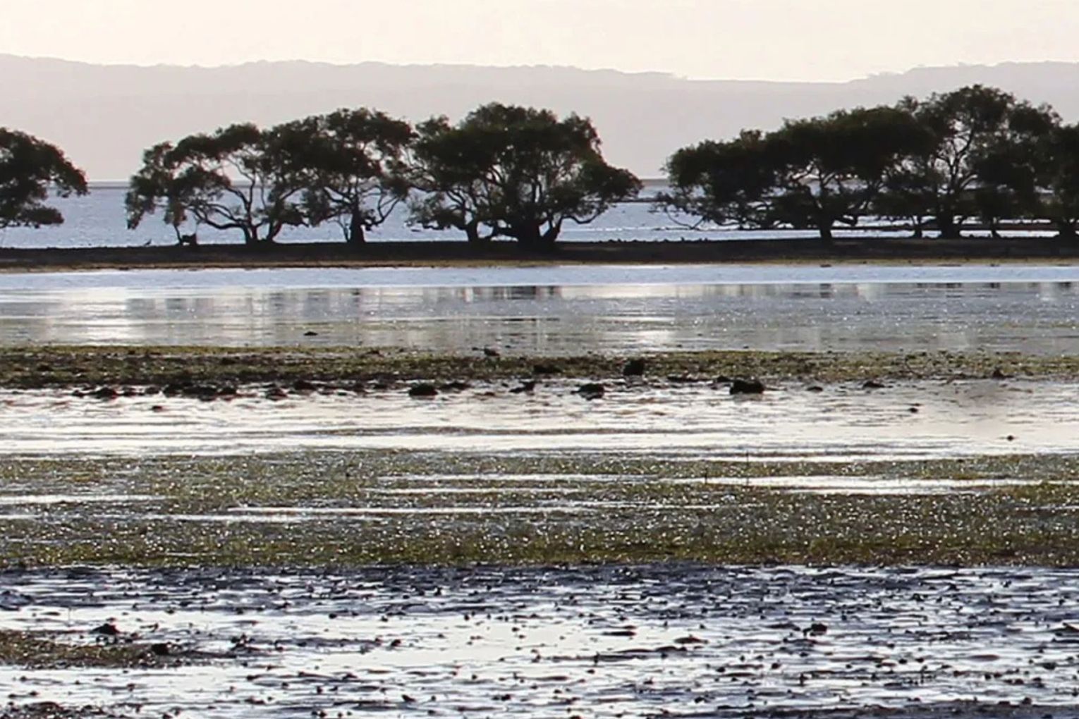 An environmental bill aims to ensure better protections while streamlining project approvals.