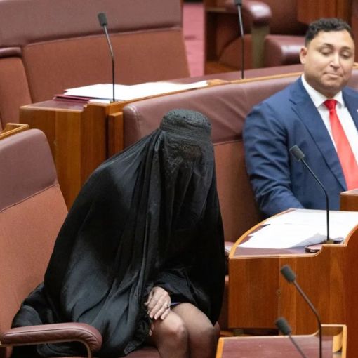 Thumbnail for Hanson condemned for repeat of burqa stunt