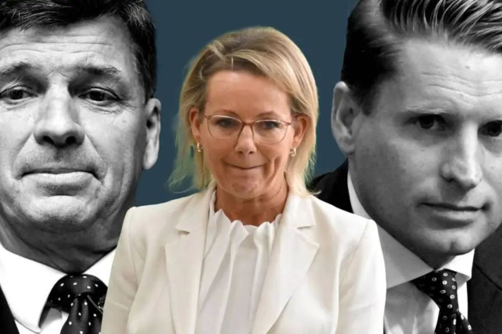 Distractions as clock ticks on environment reforms