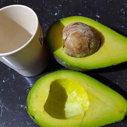 Thumbnail for Avo go at this: Aussie exports fuel hopes for new year