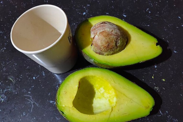 Thumbnail for Avo go at this: Aussie exports fuel hopes for new year