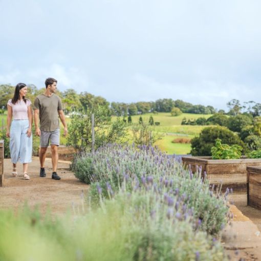 Thumbnail for Road-trip worthy: Must-try regional dining in SEQ