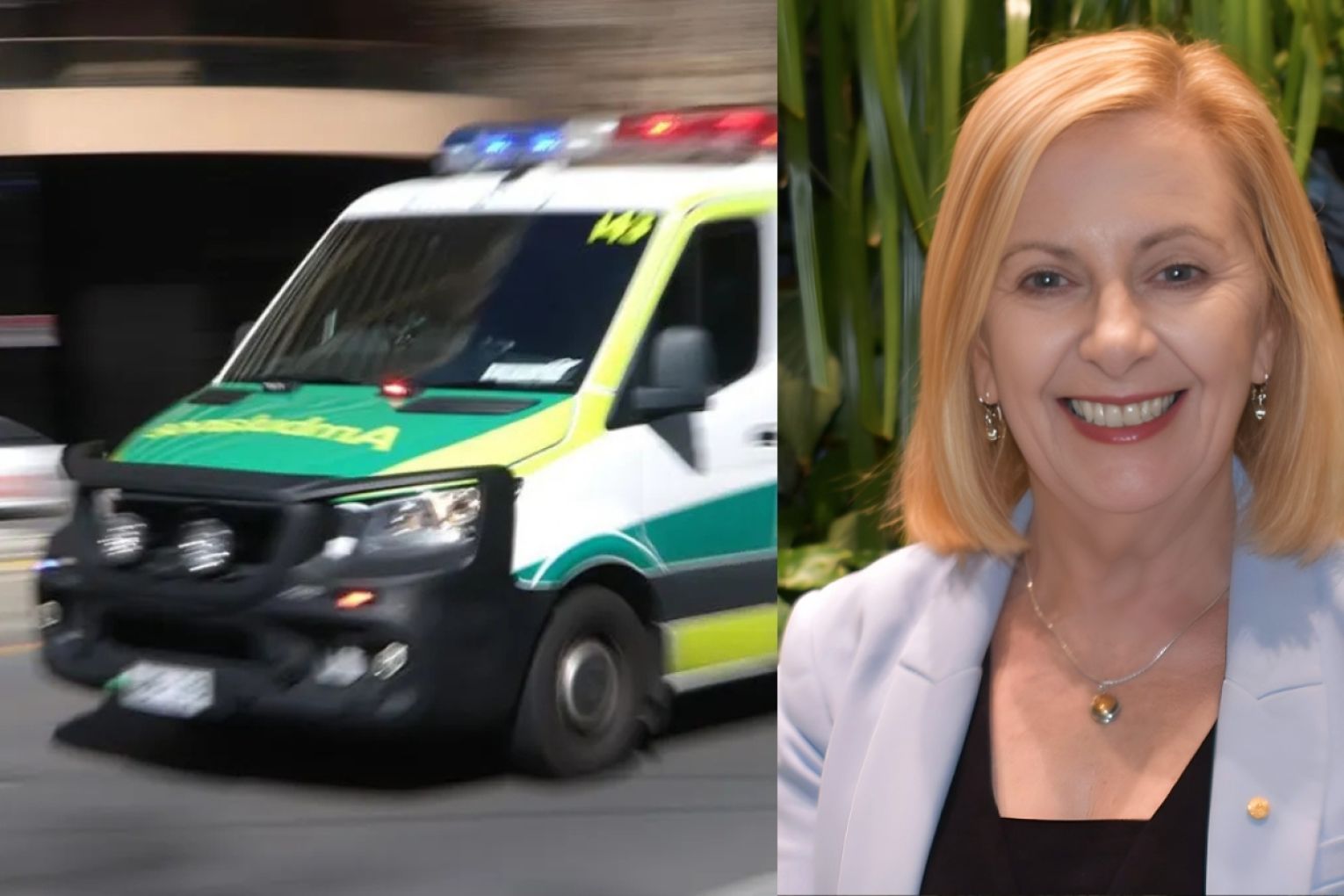 Dr Lynne Coulson Barr is the state's new Health and Community Services Complaints Commissioner.