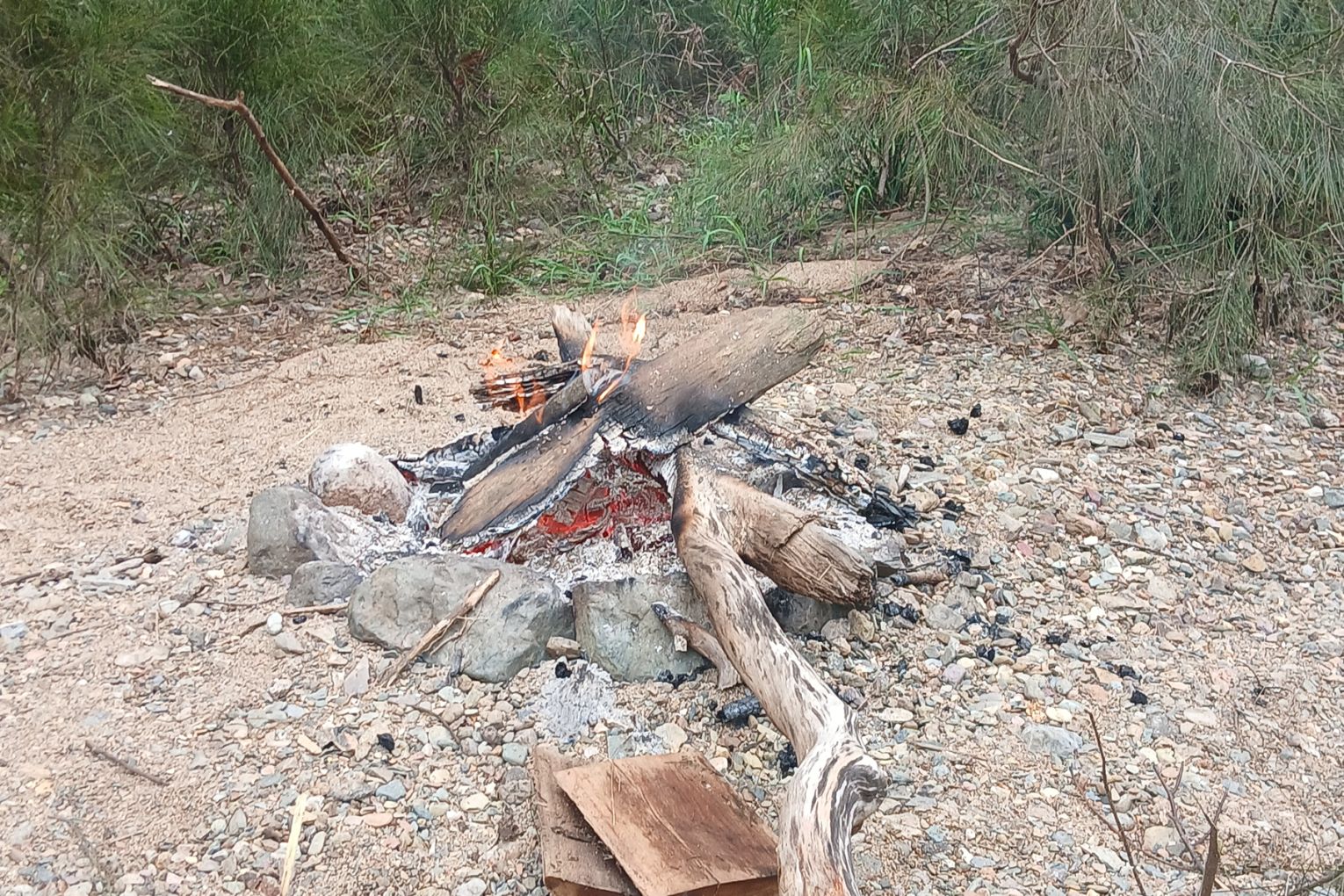 Illegal campfire on a creek bank in National Park