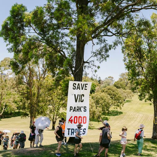 Thumbnail for Victoria Park campaigners call for Olympics chiefs to protect parklands