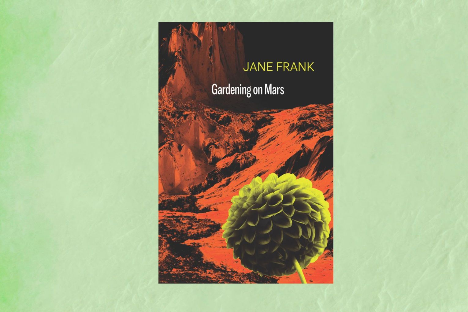 Jane Frank's latest collection comprises hymns to the natural world and poems about suburban life.