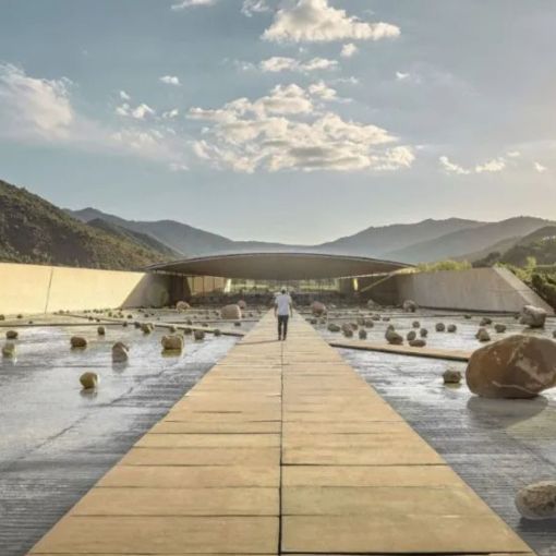 Thumbnail for SA vineyard named among world’s best for 2025